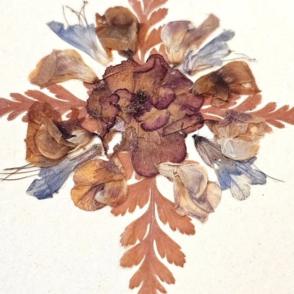 Vintage Handmade Pressed Flower Art Framed Botanical Floral Wall Decor Serbia